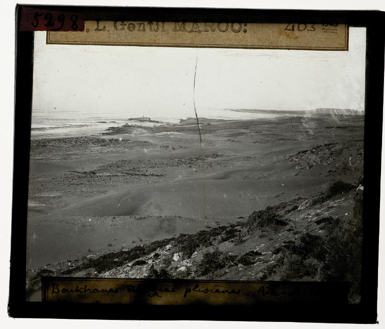 Barkhanes sur grès pliocènes
