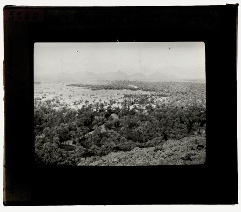 Vue de la dépression de Tagmout