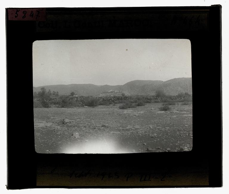 Agadir de Tiout et ses jardins