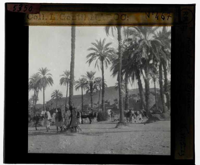 Kasba el Djouâ et sa palmeraie