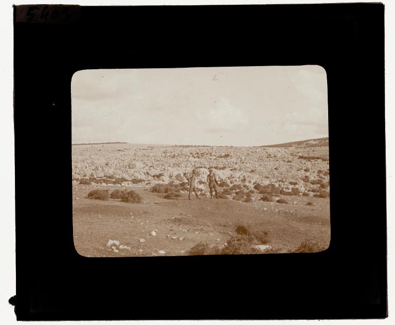 Paysage à bauxite de Domanovići