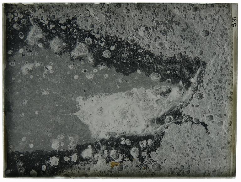 Cuvette rocheuse à marée basse
