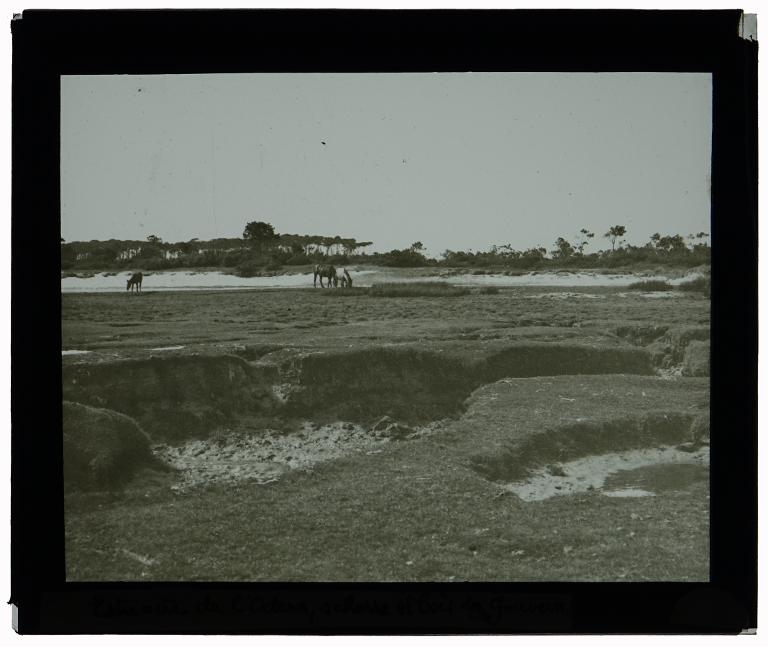 Schorre de l'Estuaire de l'Odern