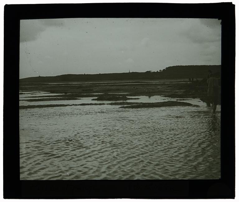 Herbier et plage à Roc'h Velen