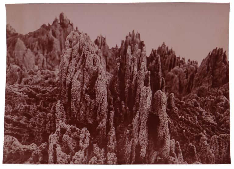 Paysage d'estran