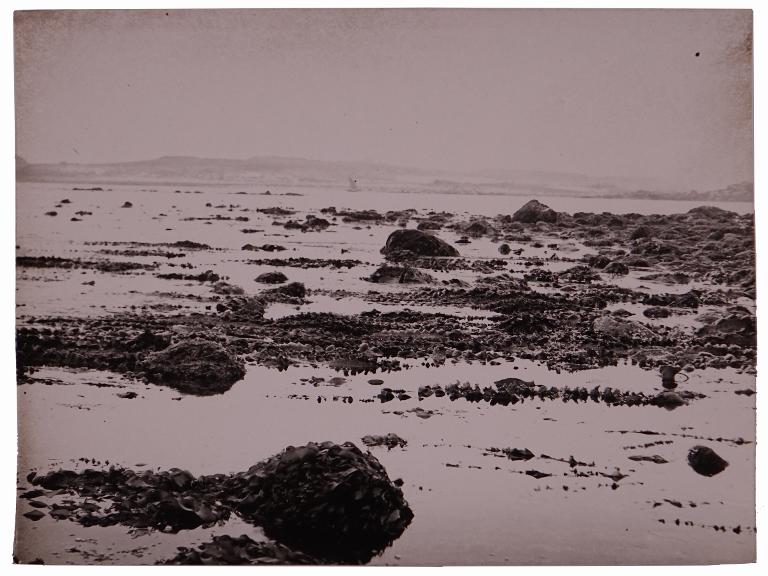 Paysage d'estran