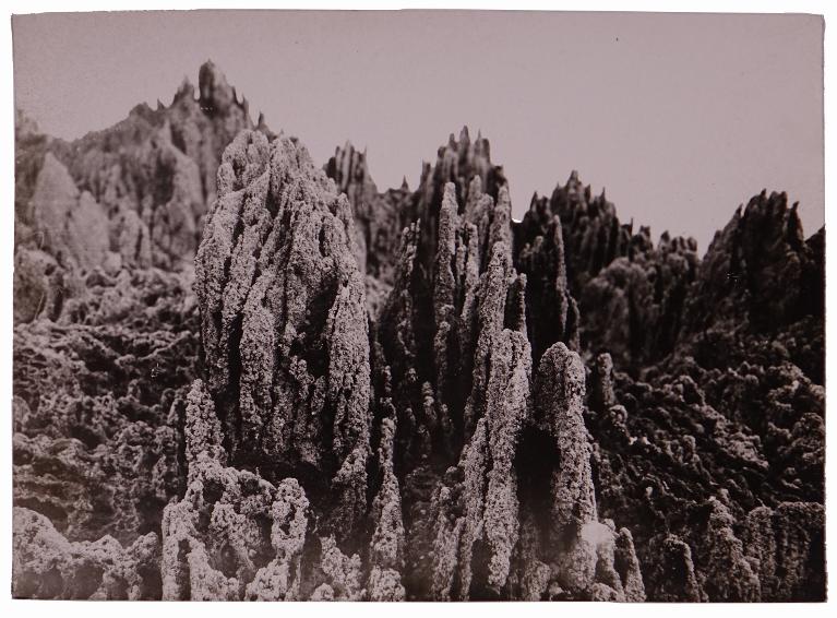 Paysage d'estran