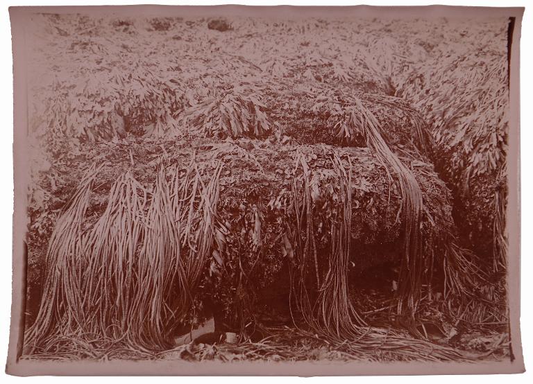Paysage d'estran
